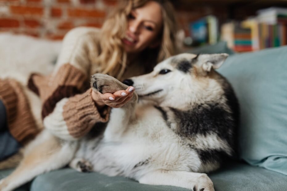 beautiful woman petting a dog