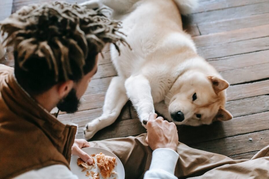 anonymous black man and purebred dog playing together and eating croissant