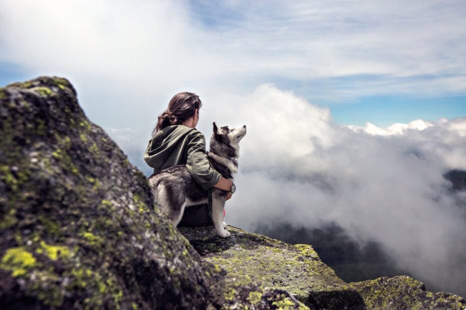 siberian husky beside woman sitting on gray rock mountain hill while watching aerial view